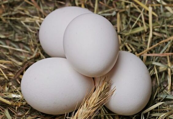 Dieta cu ouă presupune consumul de ouă de găină în fiecare zi. 