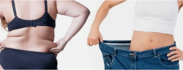 Principiile meniului dietetic au iubit